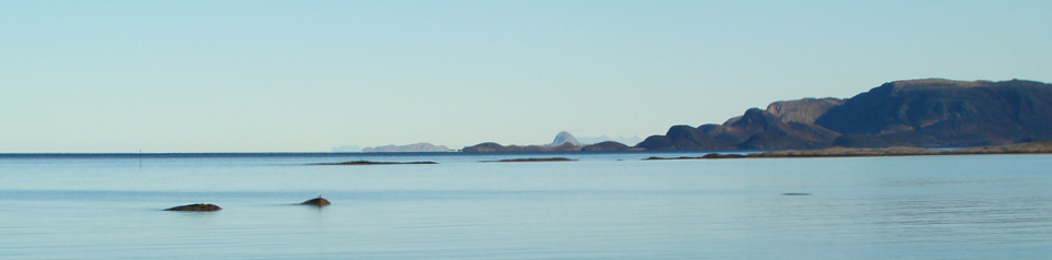 The sound of silence